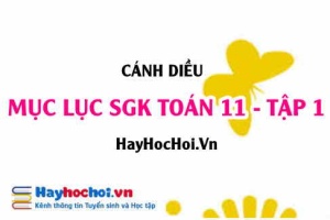 Mục lục SGK Toán 11 tập 1 Cánh diều - Lý thuyết và bài tập Toán 11 tập 1 Cánh diều